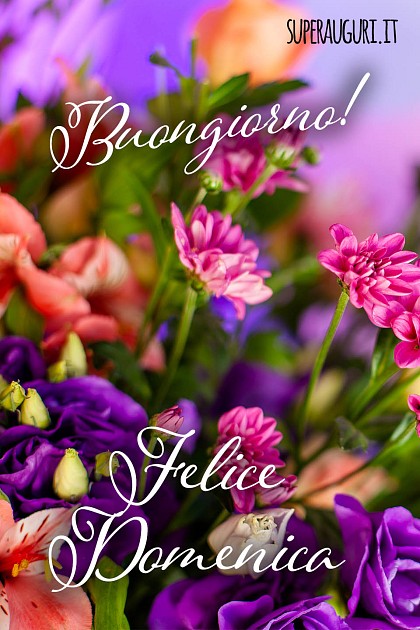 Buongiorno! Felice Domenica