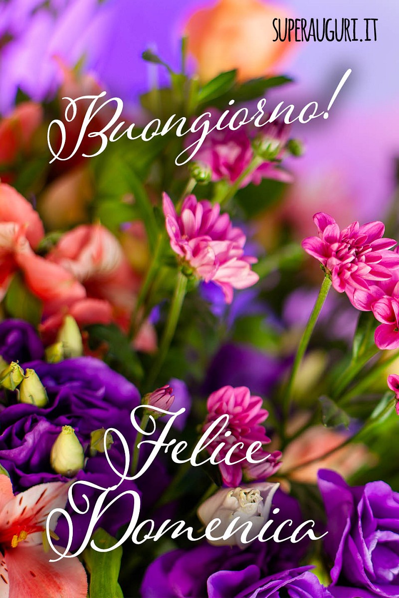 Buongiorno! Felice Domenica