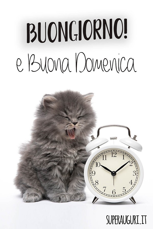 Buongiorno! E buona Domenica