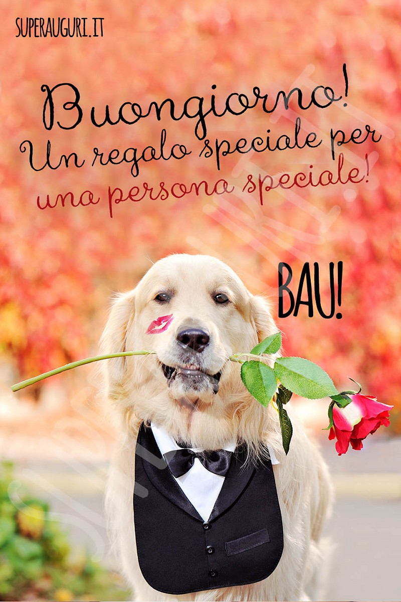 Buongiorno!