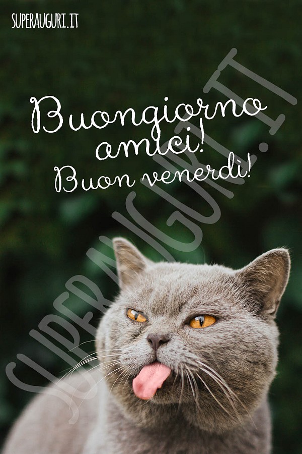 Buongiorno amici! Buon Venerdì!