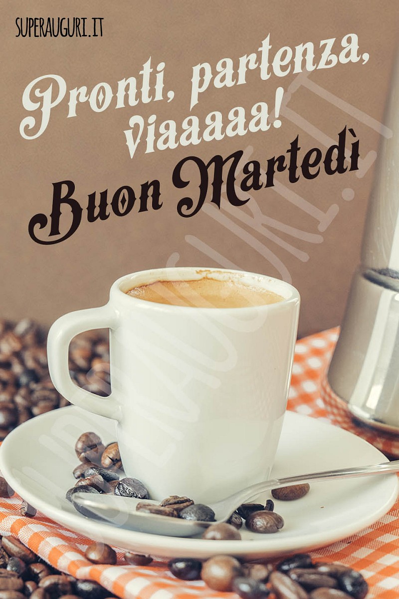 Pronti, partenza, via! Buon martedì