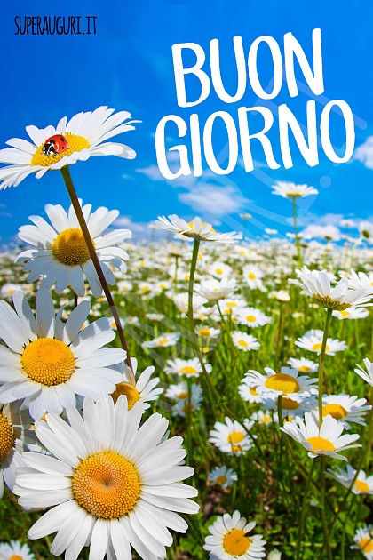 Buon giorno