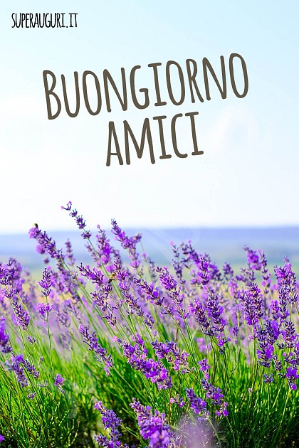 Buongiorno amici