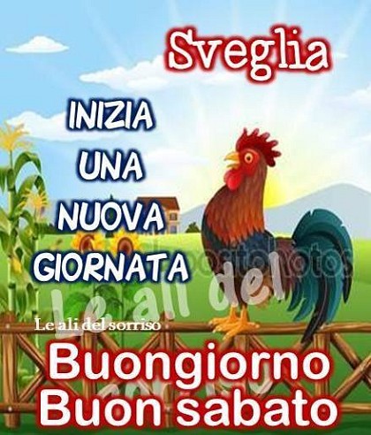 Sveglia, inizia una nuova giornata. Buon sabato.