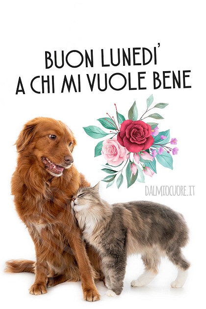 Buon lunedì a chi mi vuole bene