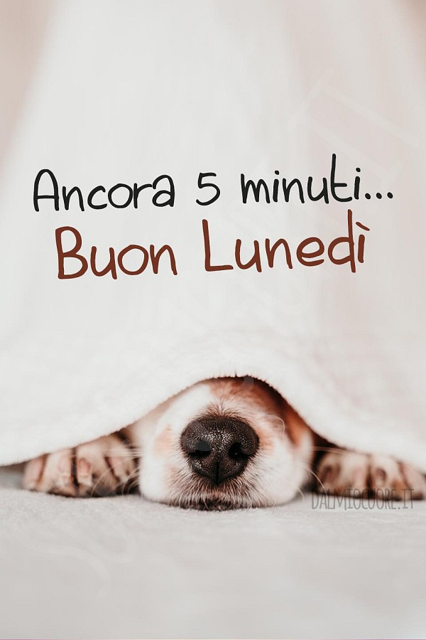 Ancora 5 minuti, buon lunedì