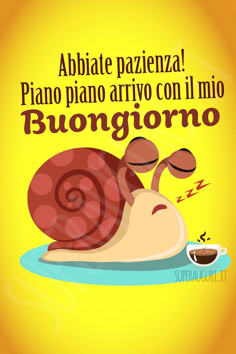 Abbiate pazienza! Piano piano arrivo con il mio buongiorno