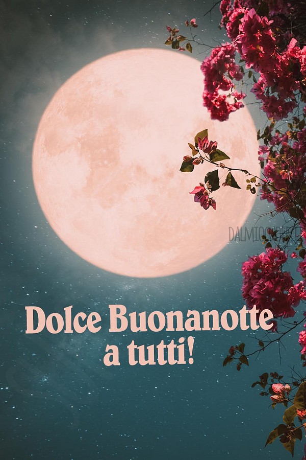 Dolce Buonanotte a tutti!