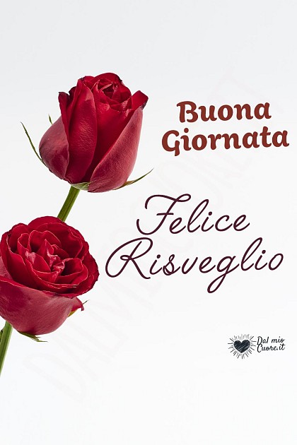 Felice Risveglio. Buona giornata