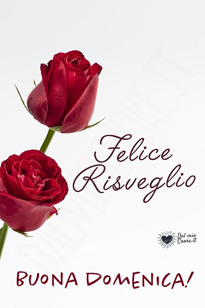 Felice Risveglio. Buona domenica