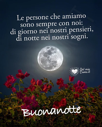 Le persone che amiamo sono sempre con noi: di giorno nei nostri pensieri, di notte nei nostri sogni. Buonanotte