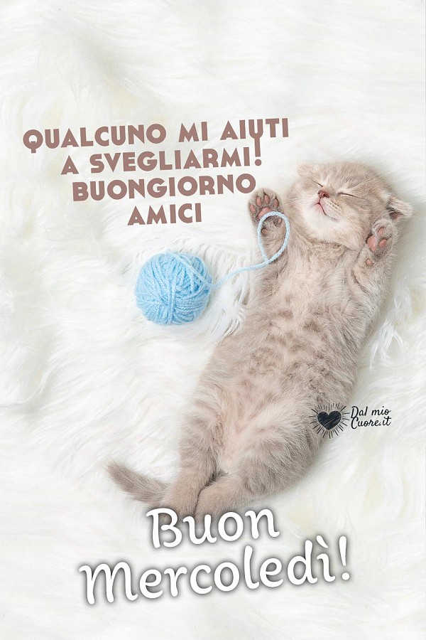 Qualcuno mi aiuti a svegliarmi! buongiorno amici. Buon mercoledì