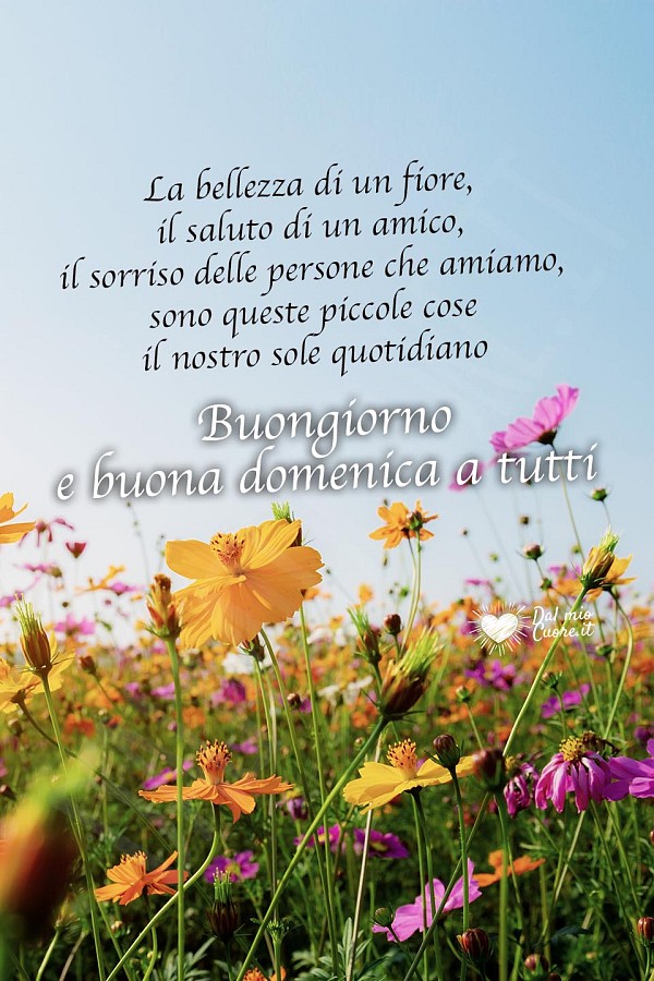 "...sono queste piccole cose il nostro sole quotidiano". Buongiorno e buona domenica a tutti
