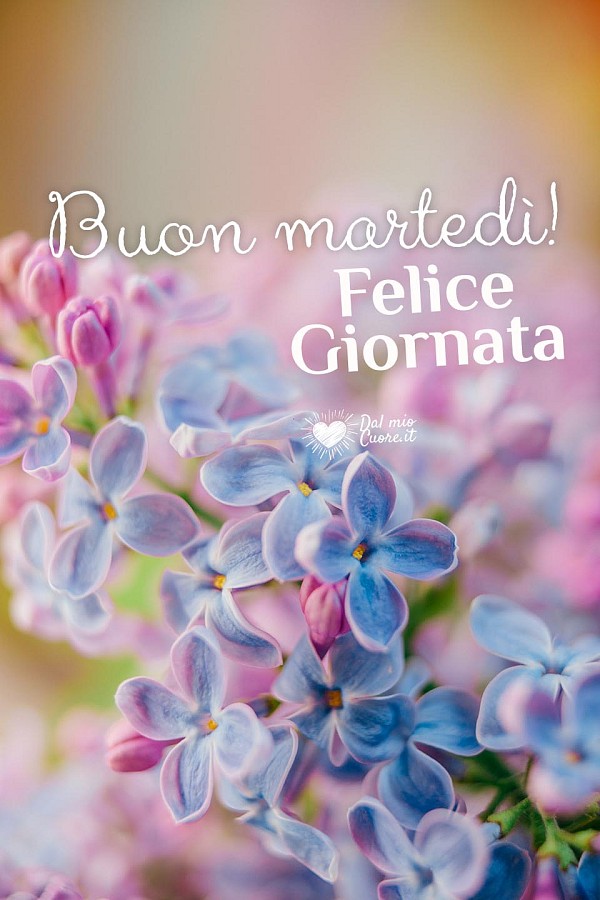 Buon martedì! Felice giornata