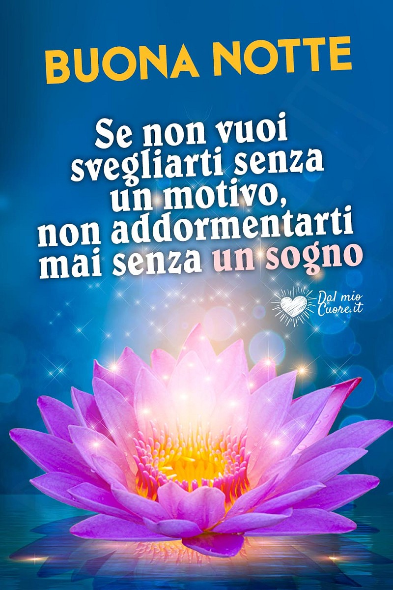 Se non vuoi svegliarti senza un motivo, non addormentarti mai senza un sogno. Buona notte