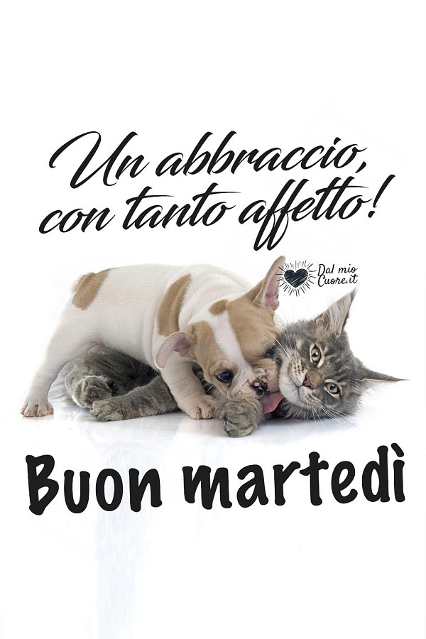 Un abbraccio, con tanto affetto! Buon Martedì