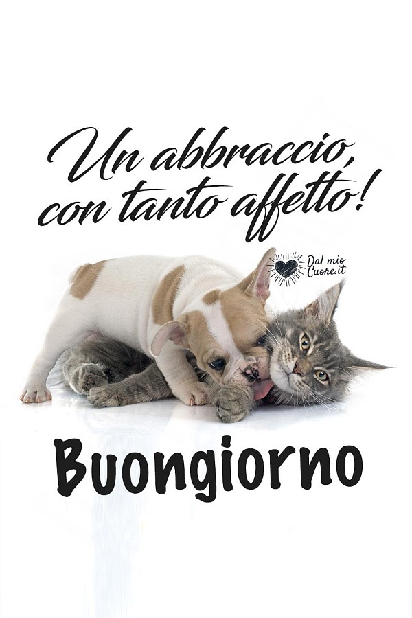 Un abbraccio, con tanto affetto! Buongiorno