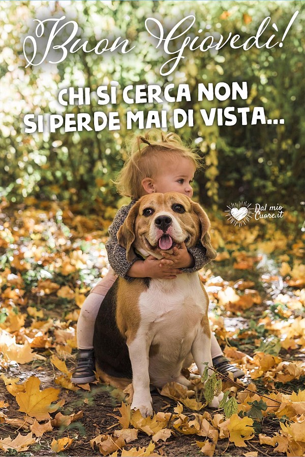 Chi si cerca non si perde mai di vista... Buon giovedì