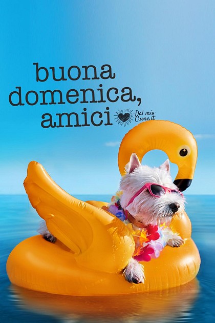 Buona domenica, amici!