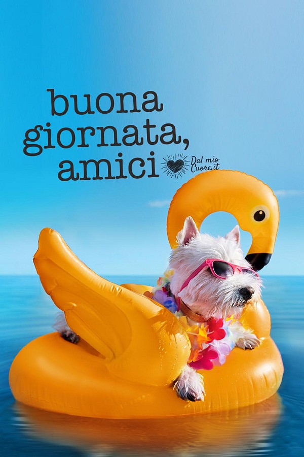 Buona giornata, amici!