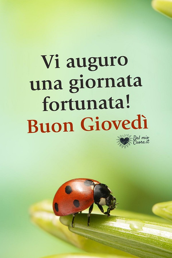 Vi auguro una giornata fortunata! Buon giovedì
