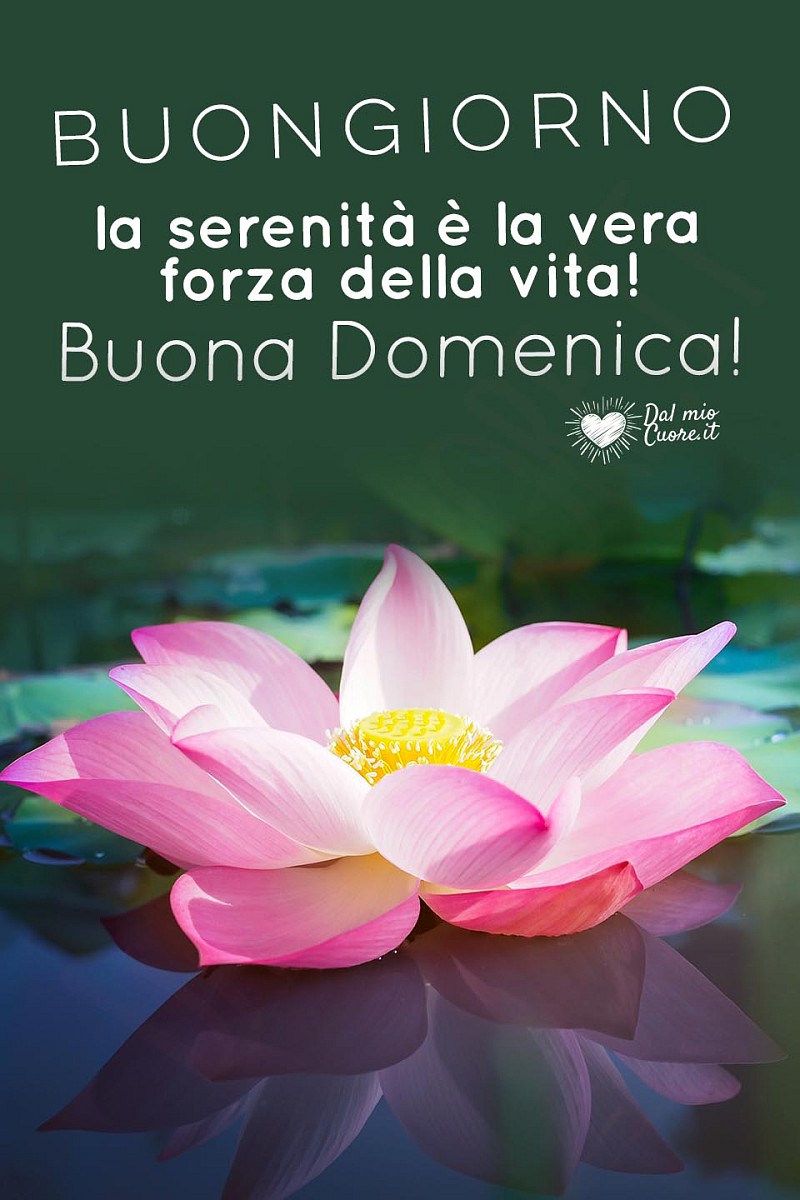 La serenità è la vera forza della vita!