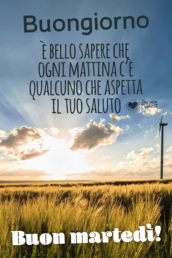 È bello sapere che ogni mattina c’è qualcuno che aspetta il tuo saluto. Buon Martedì