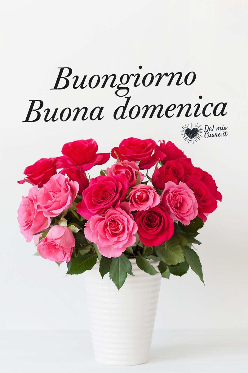 Buona domenica