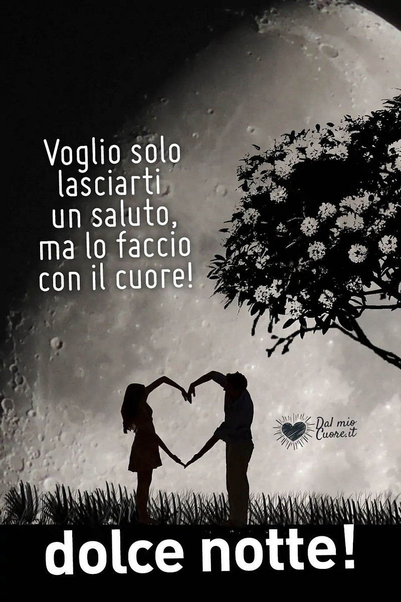 Voglio solo lasciarti un saluto, ma lo faccio con il cuore! Dolce notte