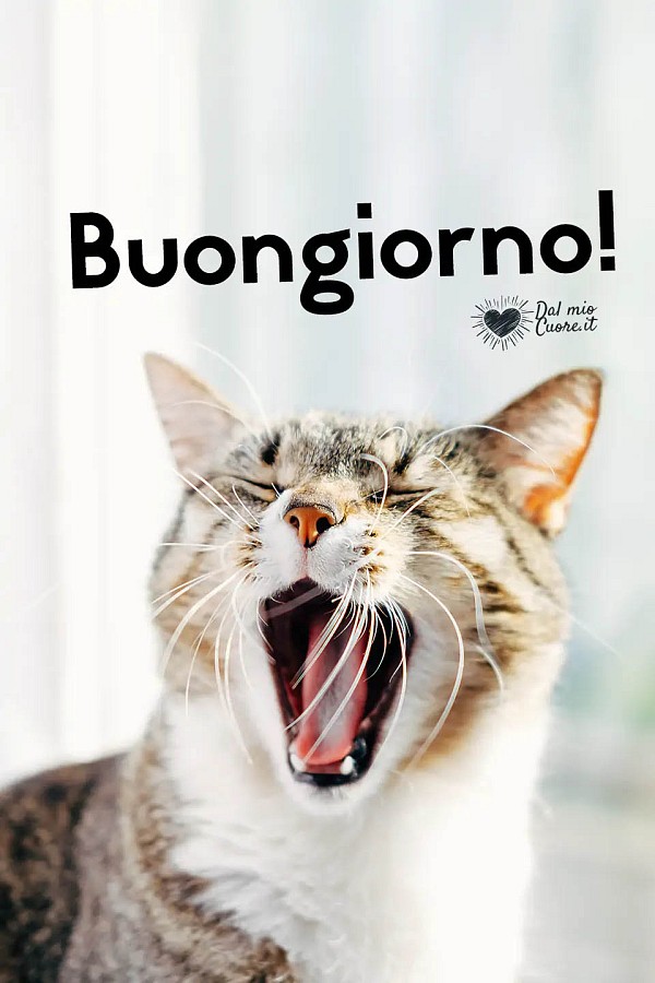 Buongiorno