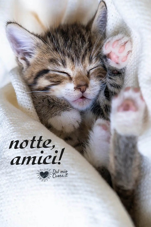 Notte, amici!