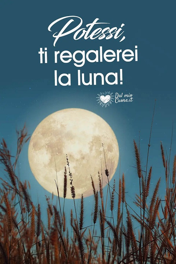 Potessi, ti regalerei la luna!