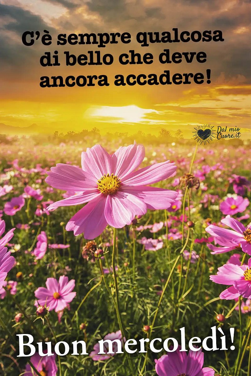 C’è sempre qualcosa di bello che deve ancora accadere! Buon mercoledi