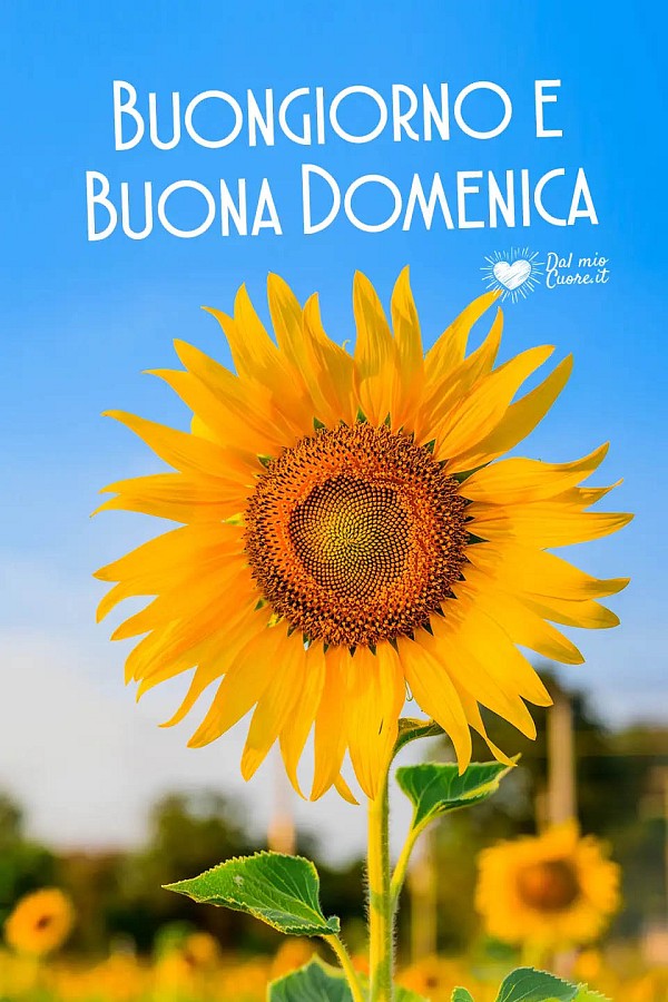 Buongiorno e buona domenica