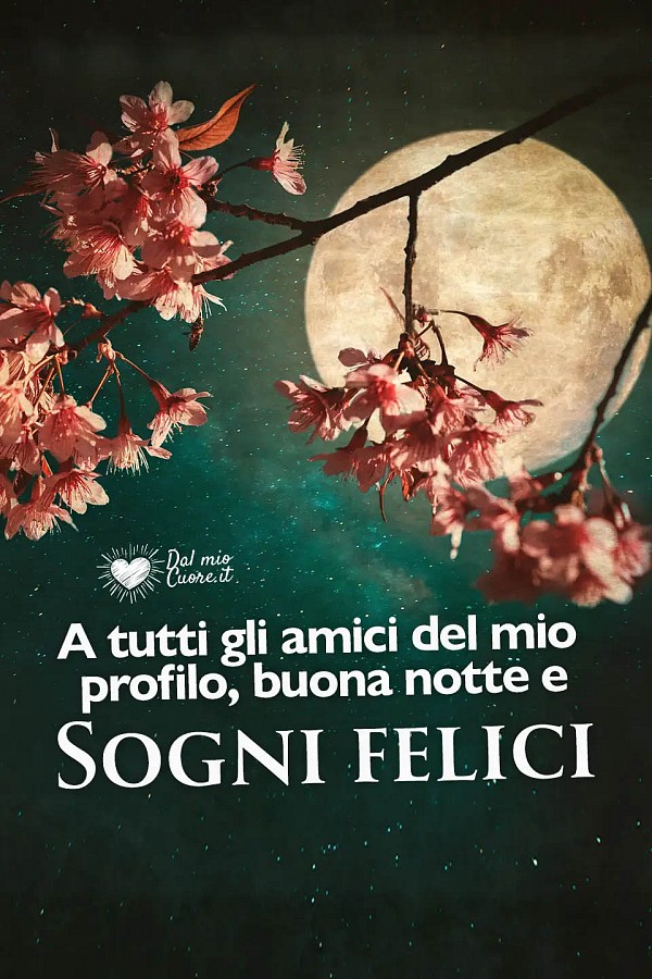 A tutti gli amici del mio profilo, buona notte e sogni felici