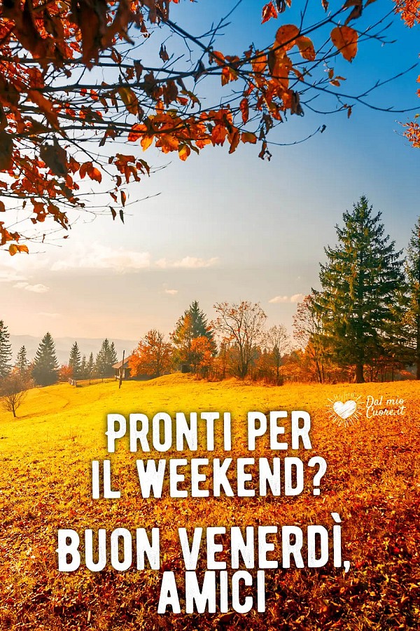 Pronti per il weekend? Buon venerdì, amici