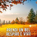 Buongiorno