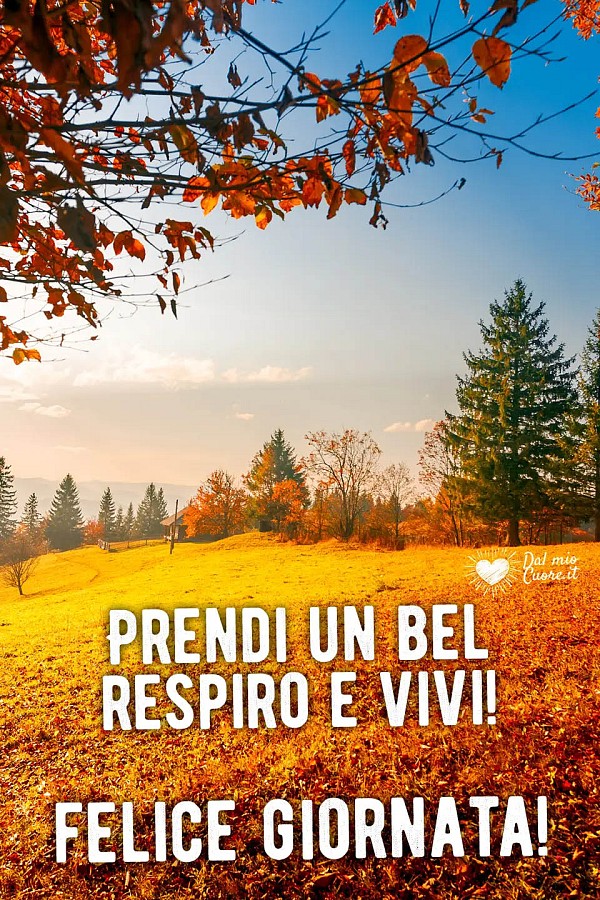 Prendi un bel respiro e vivi! Felice giornata!