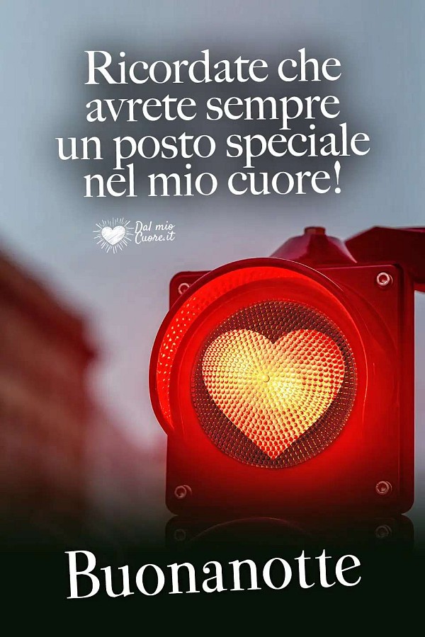 Ricordate che avrete sempre un posto speciale nel mio cuore! Buonanotte