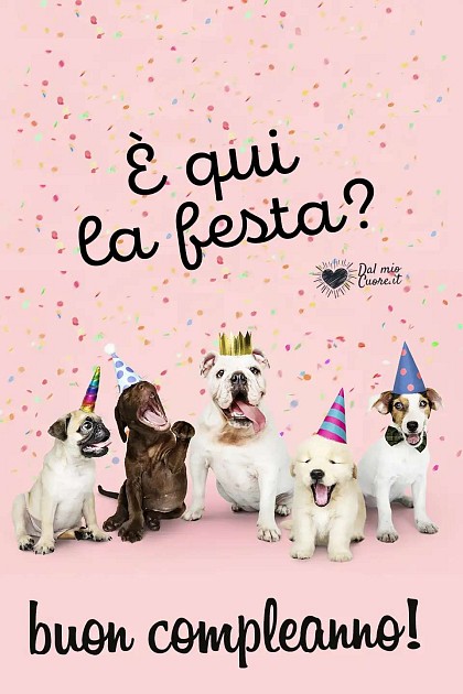 È qui la festa? Buon Compleanno