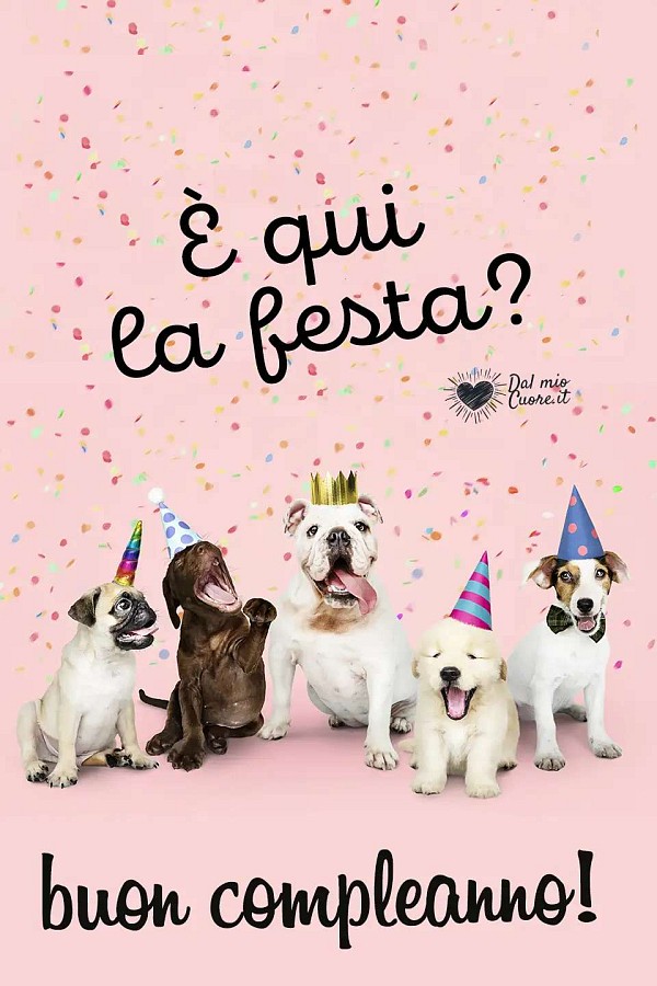 È qui la festa? Buon Compleanno