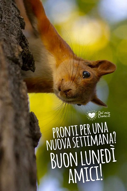 Pronti per una nuova settimana? Buon lunedì amici!