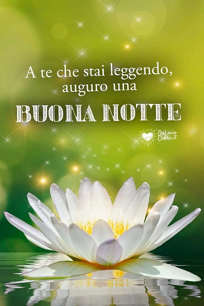 A te che stai leggendo, auguro una buona notte