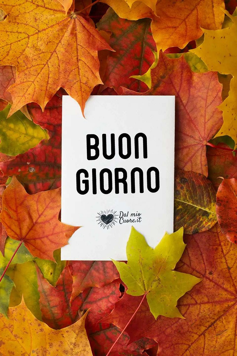 Buon giorno d'autunno