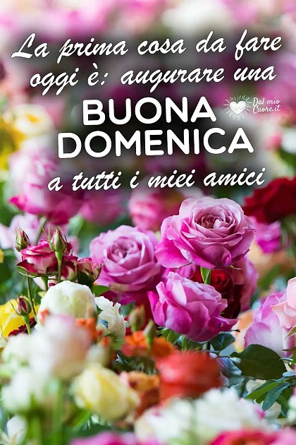 La prima cosa da fare oggi è: augurare una buona domenica a tutti i miei amici