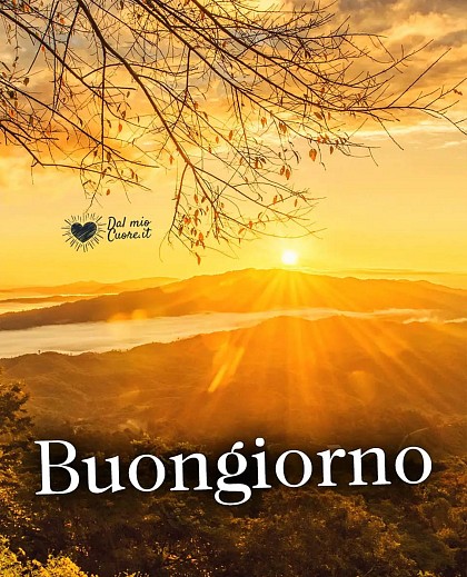 Paesaggio naturale avvolto dalla luce dorata dell'alba