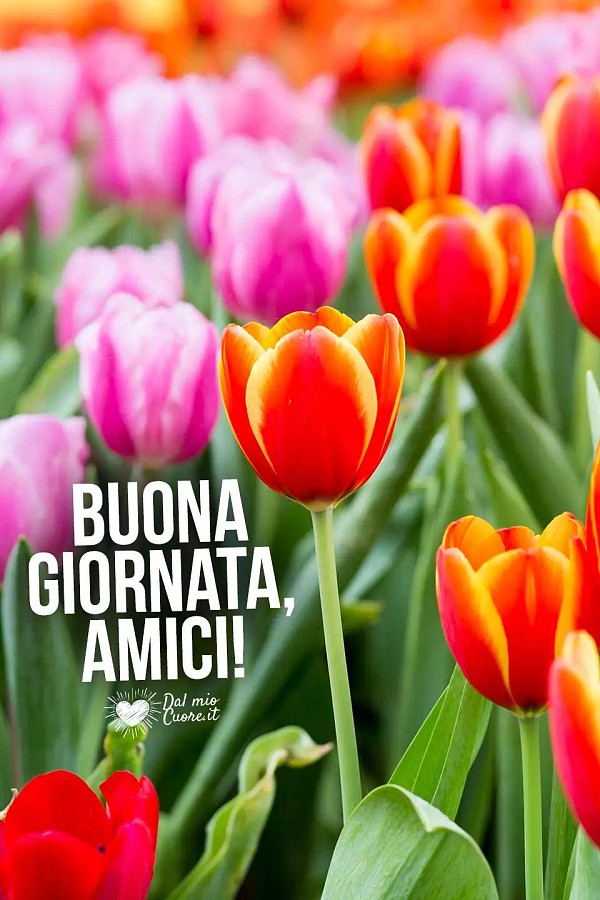 Buona giornata, amici!