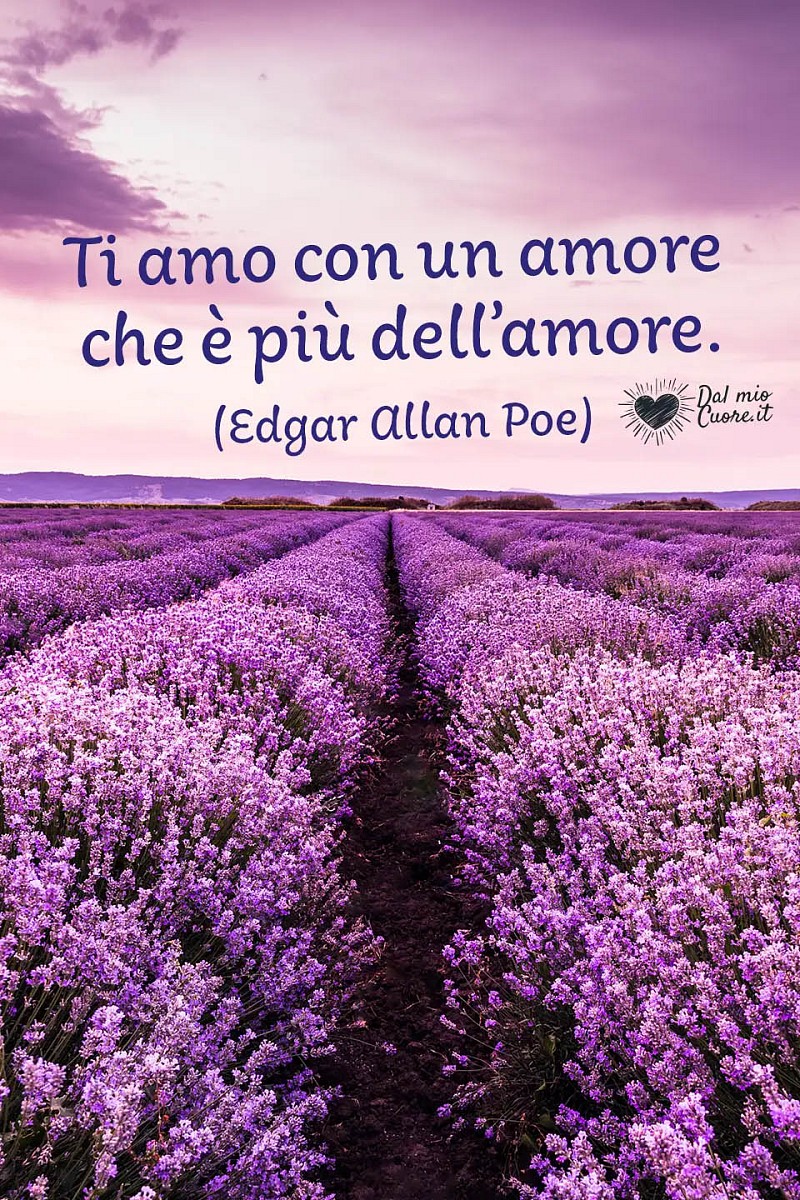 Ti amo con un amore che è più dell’amore.
