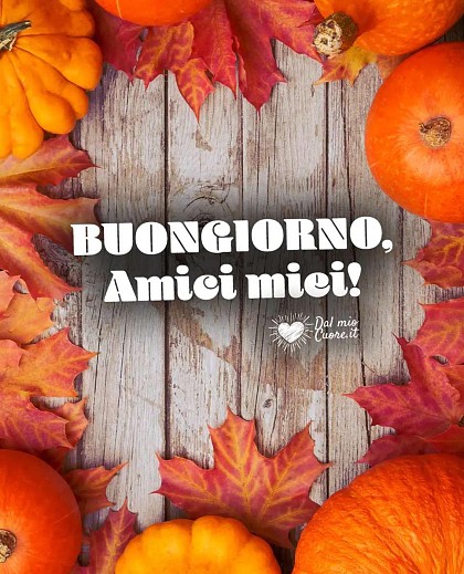 Buongiorno, amici miei!